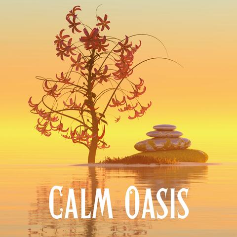 Calm Oasis: Tranquil Melodies for Mind and Body Relaxation