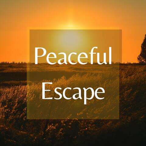 Peaceful Escape: Ultimate Mindfulness Meditation Tracks for Blissful Tranquility