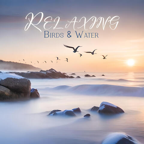 Relaxing Birds & Water: Most Calming Nature Sounds, Spa Music, Relaxation Therapy, Stress Reduction