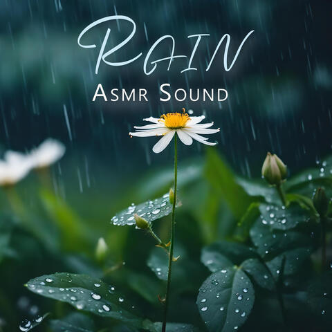 Rain Asmr Sound: Sleep Relaxing Rain Sound, Winter Day In London