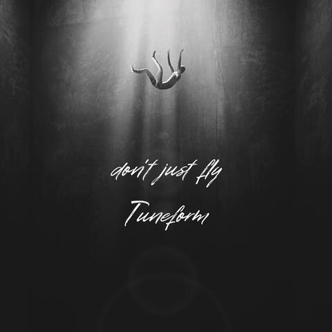 Don't Just Fly