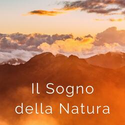 Come liberare lo stress