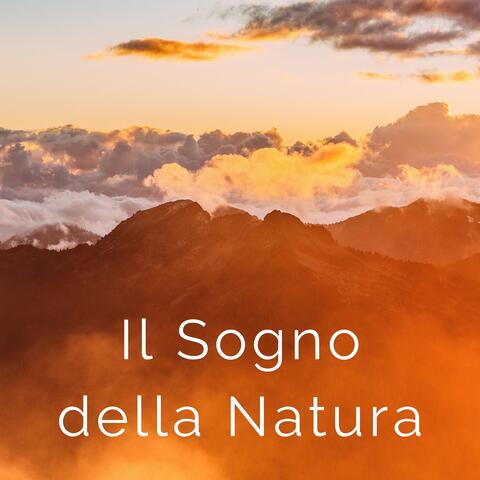Il sogno della natura: Suoni ambientali e melodie ipnagogiche per il benessere psicofisico