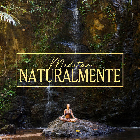 Meditar Naturalmente: Cálmate y Relájate con Música de Meditación Natural