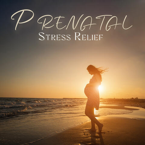 Prenatal Stress Relief: Calming Nature Sounds, Pregnancy Relaxation, Breathing Practice