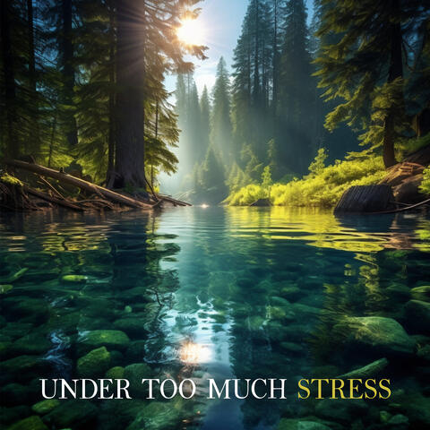 Under Too Much Stress: Most Soothing and Relaxing Zen Music with Nature Sounds for Stress Relief