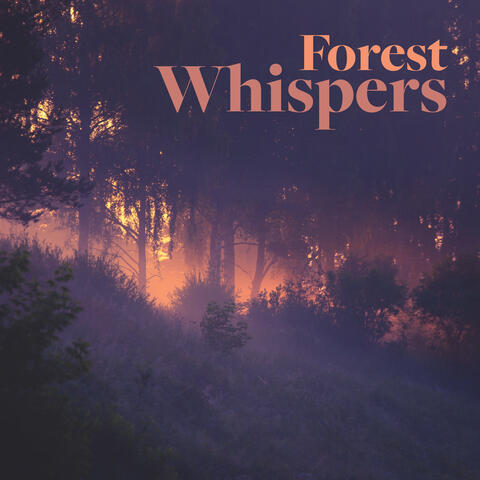 Forest Whispers: Nature Zone for Sleep, Meditation and Yoga