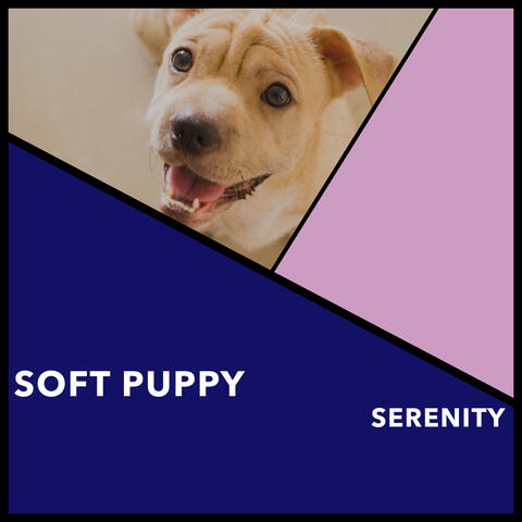 Soft Puppy Serenity