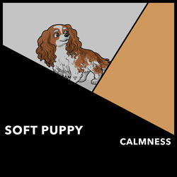 Flawless Resting Pets