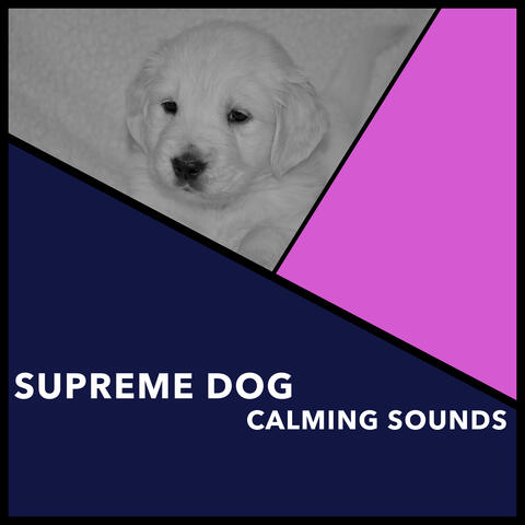 Supreme Dog Calming Sounds