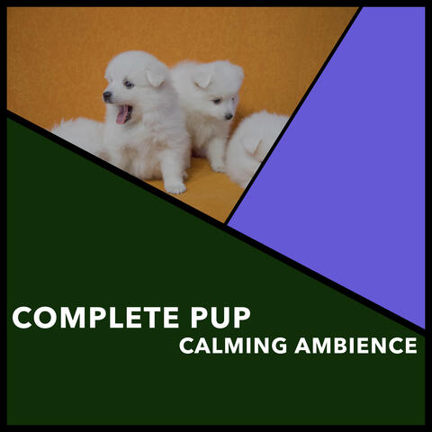 Complete Pup Calming Ambience