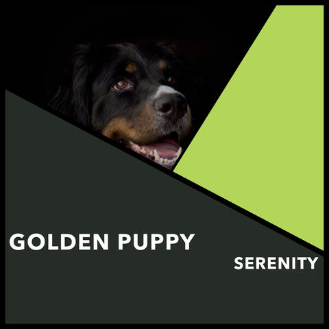 Golden Puppy Serenity