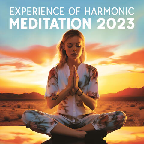 Experience Of Harmonic Meditation 2023