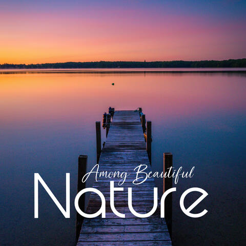 Among Beautiful Nature: Chinese Instrumental Repose
