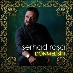 Dönmelisin