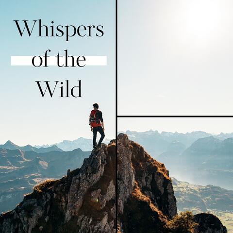 Whispers of the Wild: Serene Nature Sounds for Stress Relief and Mindful Meditation