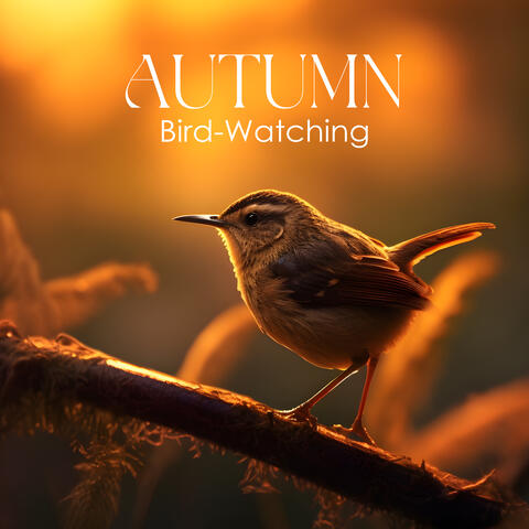 Autumn Bird-Watching: Cozy Relaxing Piano Session