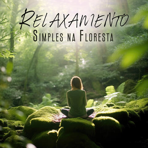 Relaxamento Simples na Floresta