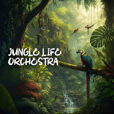 Jungle Life Orchestra: Rainy Day in Jungle, Soothing Nature