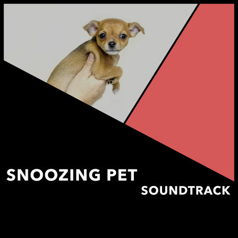 Snoozing Pet Soundtrack