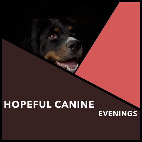 Hopeful Canine Evenings