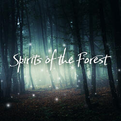 Rainforest Lullaby