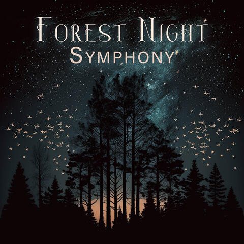 Forest Night Symphony