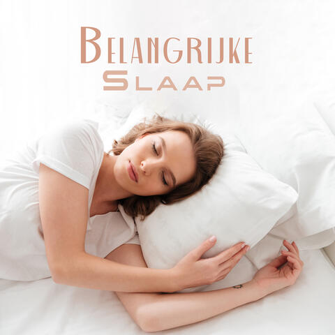 Belangrijke Slaap