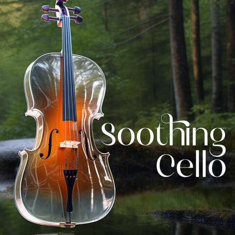 Soothing Cello: Stay Relaxed, Fall Asleep Gently, Calm Your Mind from Stress