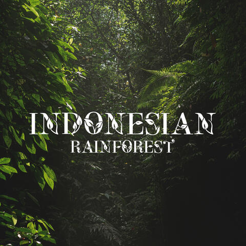 Indonesian Rainforest