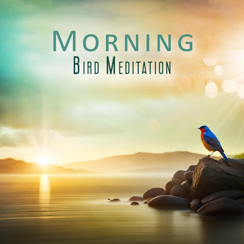 Morning Bird Meditation: Calm Morning Meditation Practice, Balance for Whole Day