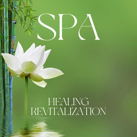 Spa Healing Revitalization: Pure Spa Music, Wellness Oasis