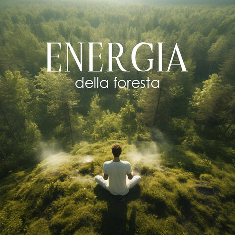 Energia della foresta: Meditazione naturale e pratica yoga con i suoni della foresta