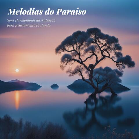 Melodias do Paraíso: Sons Harmoniosos da Natureza para Relaxamento Profundo