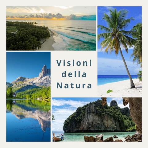 Visioni della natura: Musica New Age per la meditazione, lo yoga e il benessere spirituale nei centri olistici
