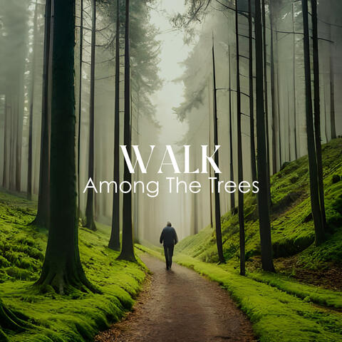 Walk Among The Trees