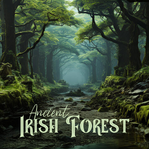 Ancient Irish Forest