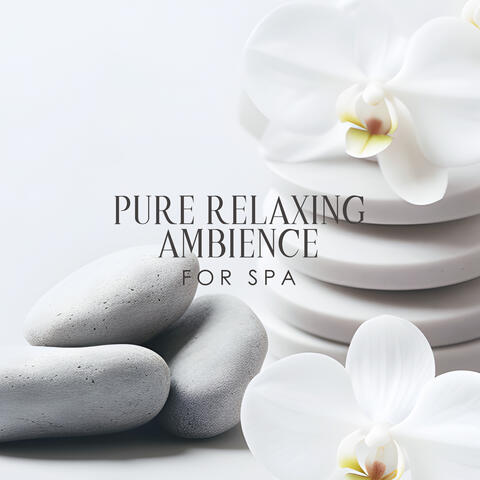 Pure Relaxing Ambience for Spa