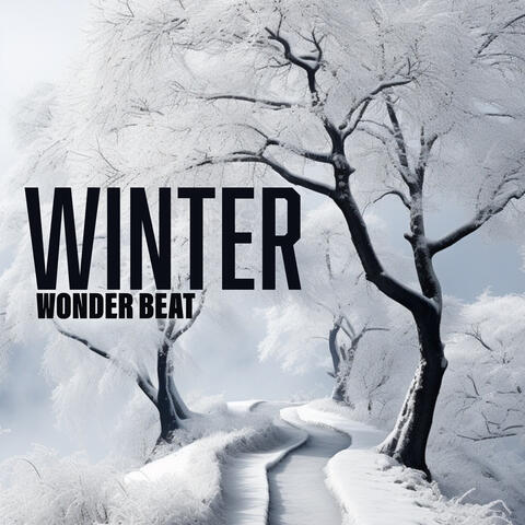 Winter Wonder Beat: Warming Party Music