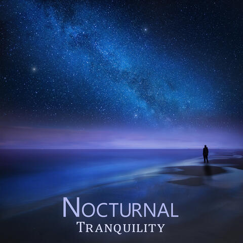 Nocturnal Tranquility: Dreamy Calm, Weightlessness, Quiet Instrumental Music for Sleep