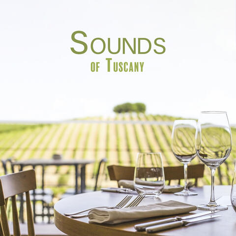 Sounds of Tuscany: Jazz Serenade Amidst the Olive Groves and Sunlit Vineyards