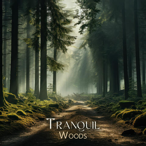 Tranquil Woods: Serenade for Peaceful Slumber Moments