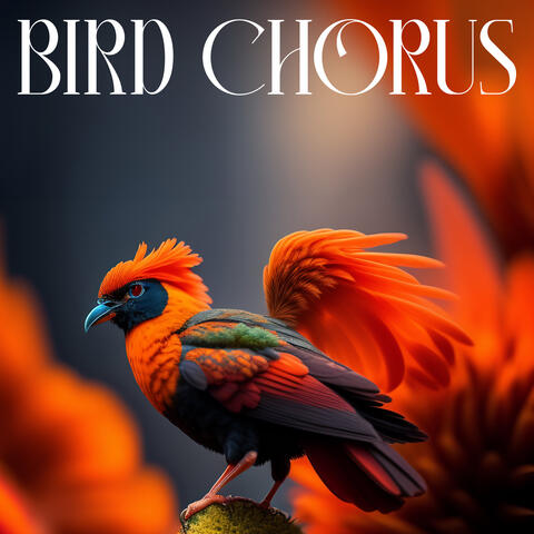Bird Chorus: Relaxation Symphony of Birdsong, Soothing Forest Sounds, Morning Singing Birds