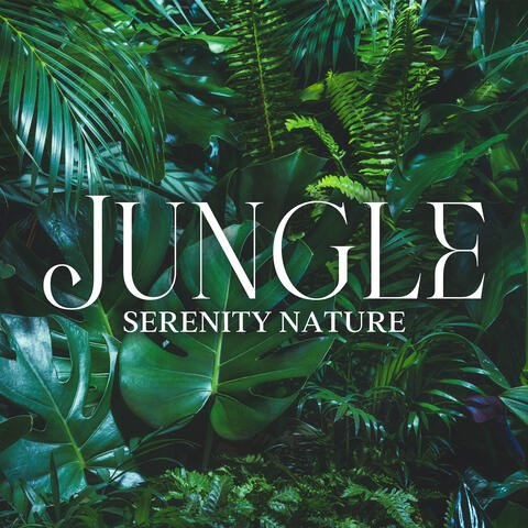 Jungle Nature Serenity: Deeper Relaxing Soundscapes