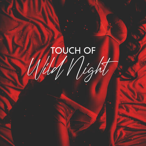 Touch of Wild Night: Beats Playlist for Crazy Party