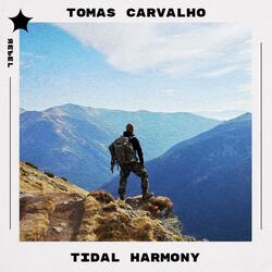 Tidal Harmony