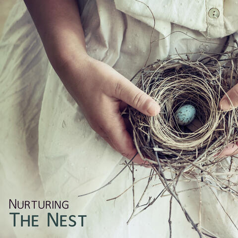 Nurturing The Nest: Soothing Music For Pregnancy