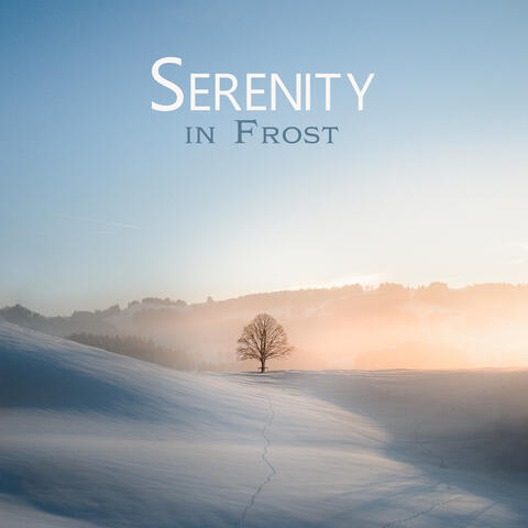 Serenity in Frost: Winter's Tranquil Ambience