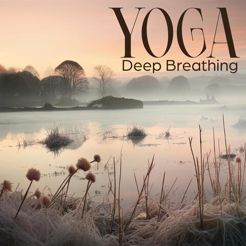 Yoga Deep Breathing: Let Your Mind Be Free from Anxiety