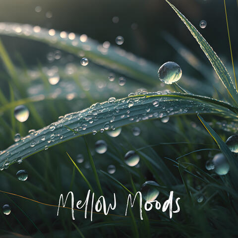 Mellow Moods: Relaxation Resonance, Anxiety Alleviation, Stress-Free Melodies
